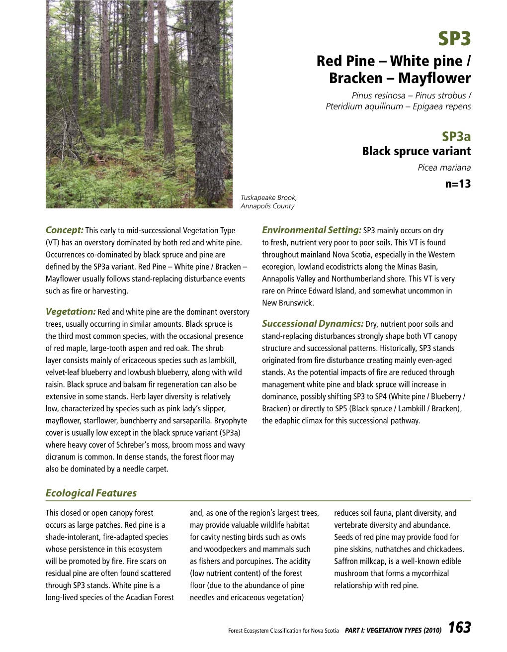 Mayflower Pinus Resinosa – Pinus Strobus / Pteridium Aquilinum – Epigaea Repens