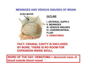 Meninges and Venous Sinuses of Brain Fact