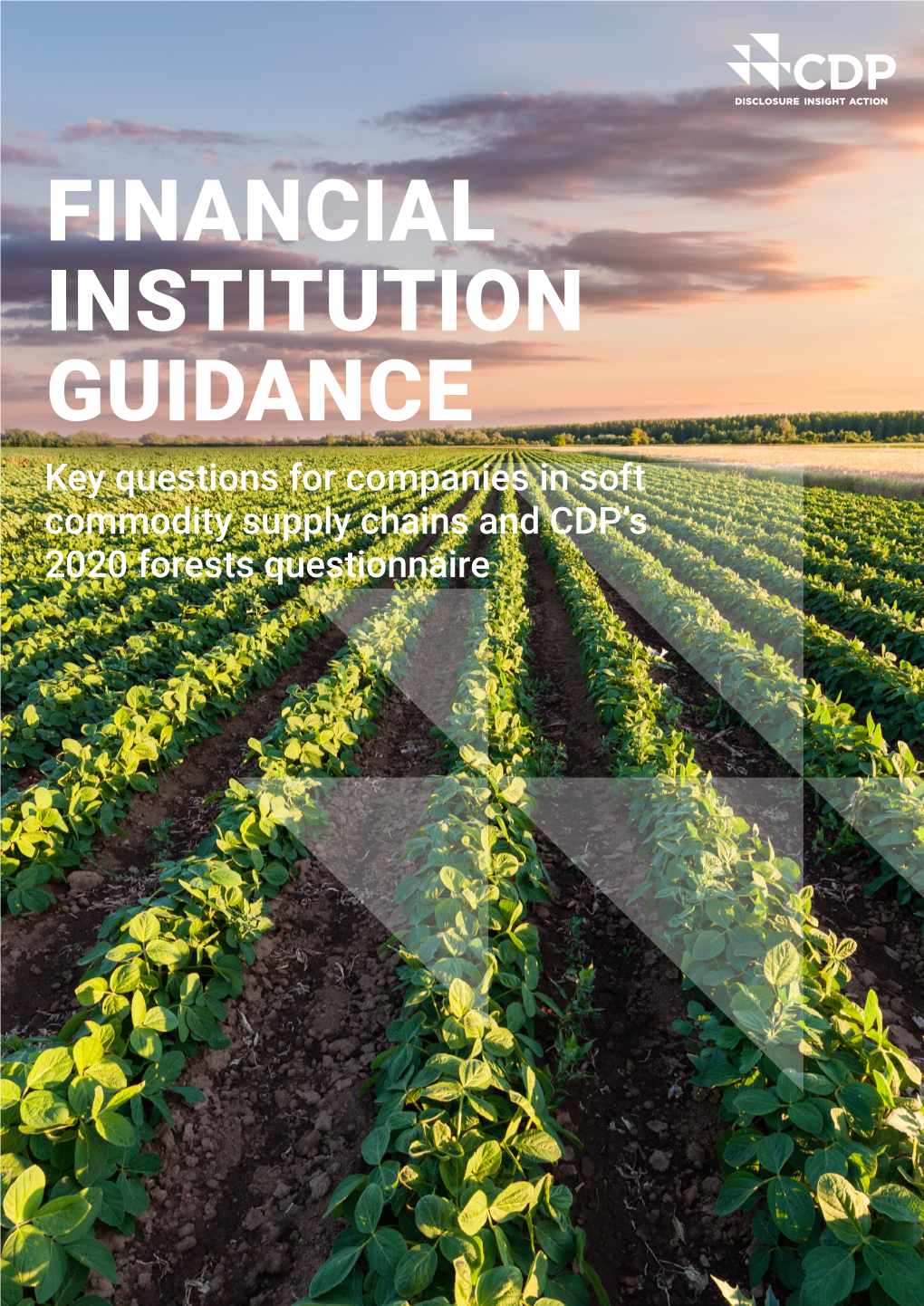 FINANCIAL INSTITUTION GUIDANCE Key Questions for Companies in Soft Commodity Supply Chains and CDP’S 2020 Forests Questionnaire FOREWORD