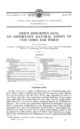 Orius Insidiosus (Say), an Important Natural Enemy of the Corn Ear Worm