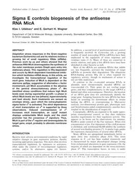 Sigma E Controls Biogenesis of the Antisense RNA Mica Klas I