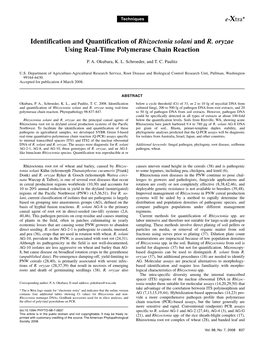 Identification and Quantification of Rhizoctonia Solani and R. Oryzae Using Real-Time Polymerase Chain Reaction