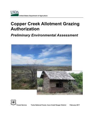 Copper Creek Allotment Grazing Authorization Preliminary Environmental Assessment