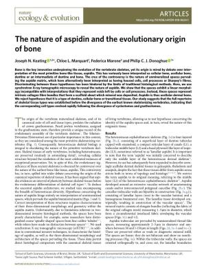 The Nature of Aspidin and the Evolutionary Origin of Bone