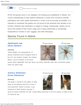 Spiders of Alberta