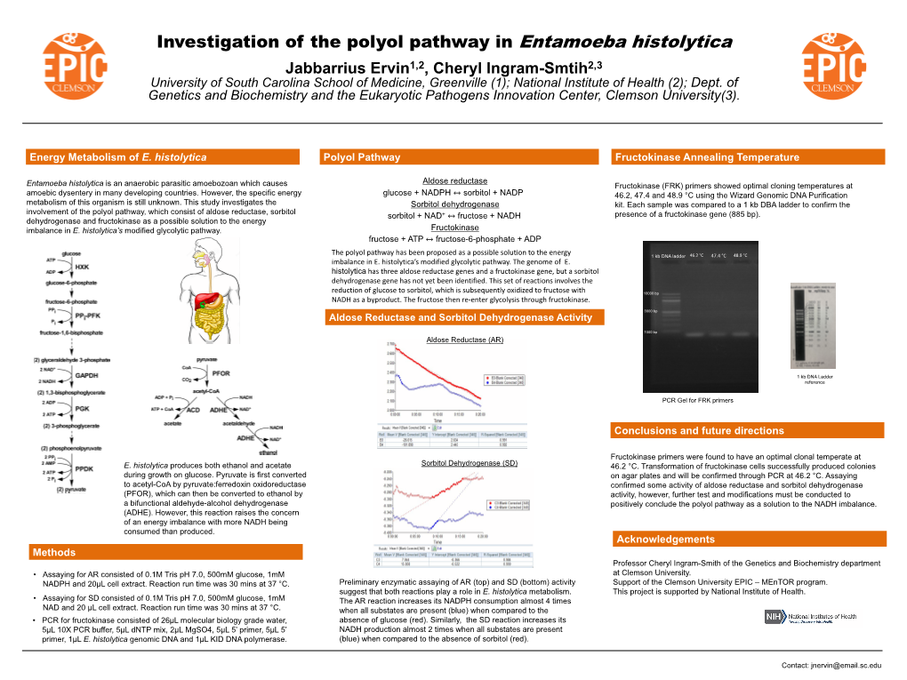 Investigation of the Polyol Pathway in Entamoeba Histolytica [Pdf]
