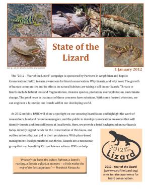 State of the Lizard