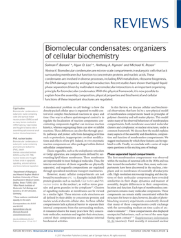 Biomolecular Condensates: Organizers of Cellular Biochemistry