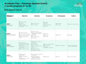 Academic Plan - Flamingo Spanish School 4 Weeks Program A1 to B2
