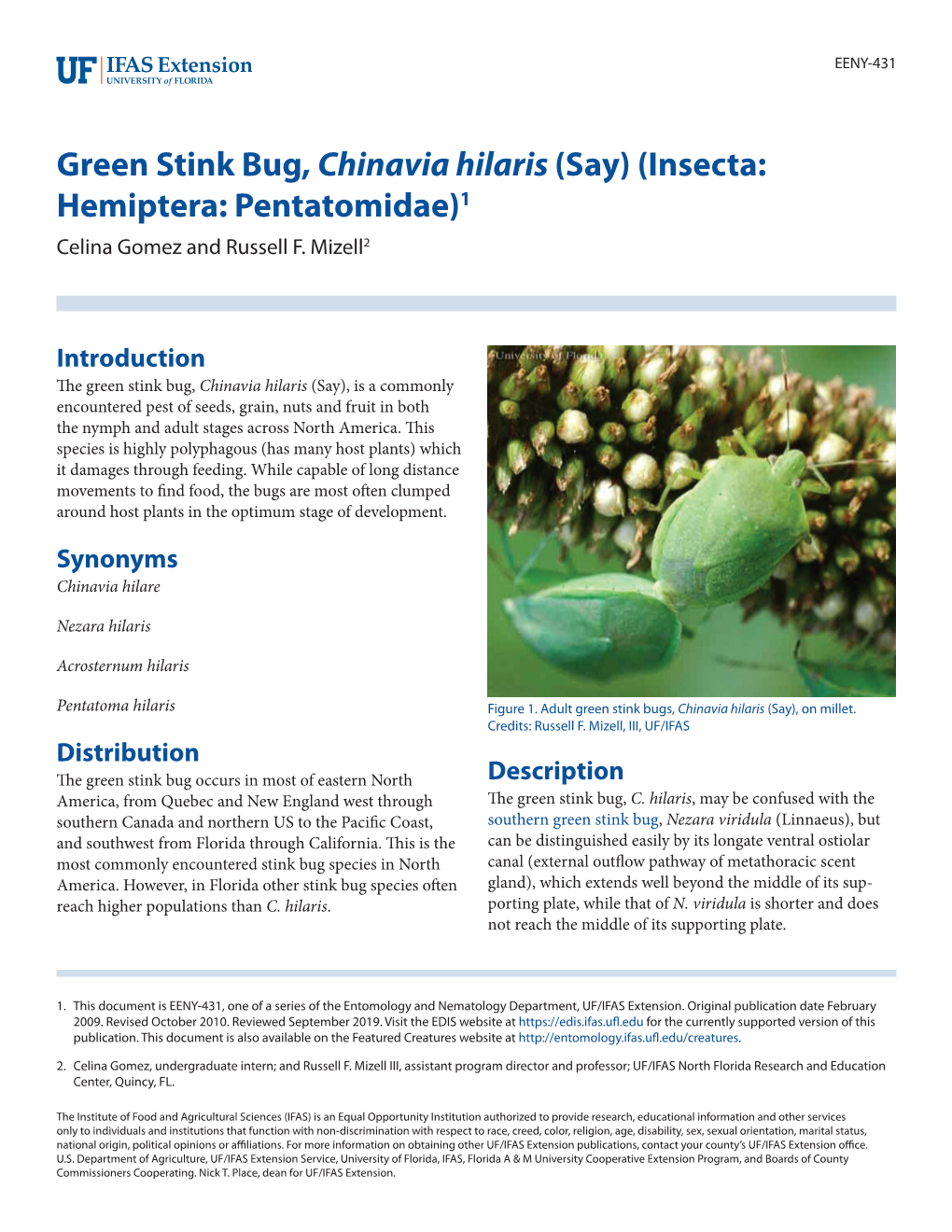 Green Stink Bug, Chinavia Hilaris (Say) (Insecta: Hemiptera: Pentatomidae)1 Celina Gomez and Russell F