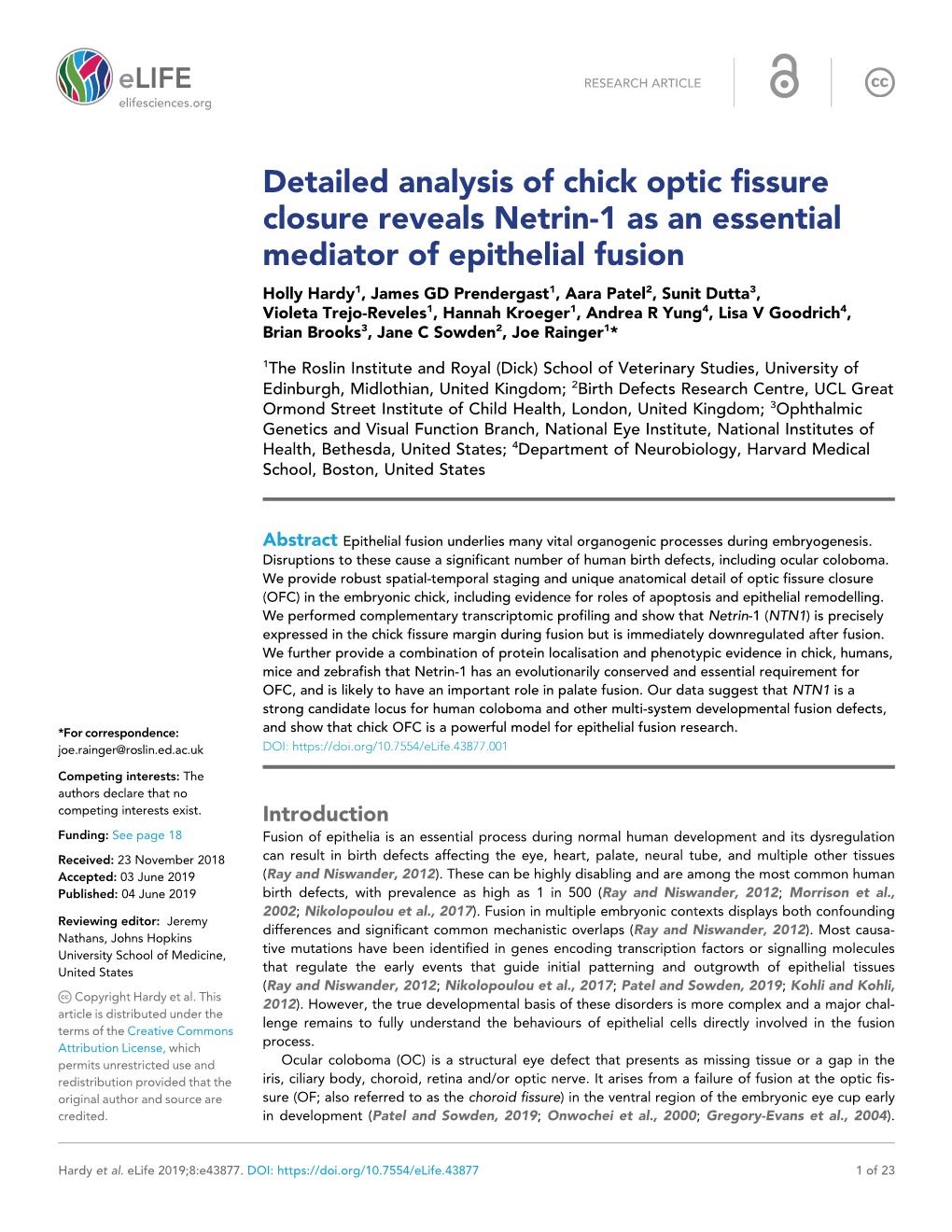 Detailed Analysis of Chick Optic Fissure Closure Reveals Netrin-1 As An