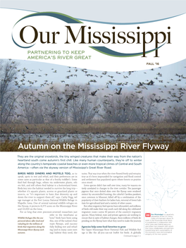 Autumn on the Mississippi River Flyway