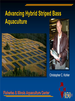 Advancing Hybrid Striped Bass Aquaculture