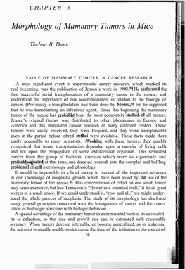 Morphology of Mammary Tumors in Mice