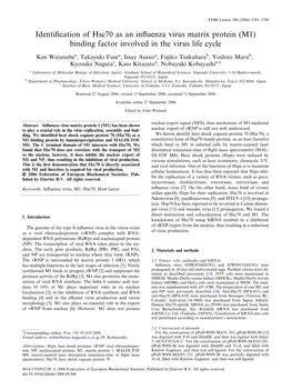 Identification of Hsc70 As an Influenza Virus Matrix Protein (M1)