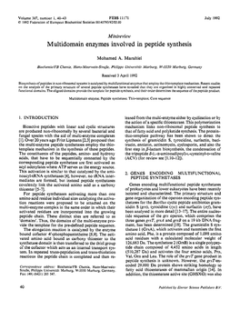 Multidomain Enzymes Involved in Peptide Synthesis