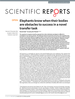 Elephants Know When Their Bodies Are Obstacles to Success in a Novel Transfer Task Received: 07 November 2016 Rachel Dale1,† & Joshua M