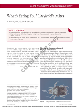 Cheyletiella Mites