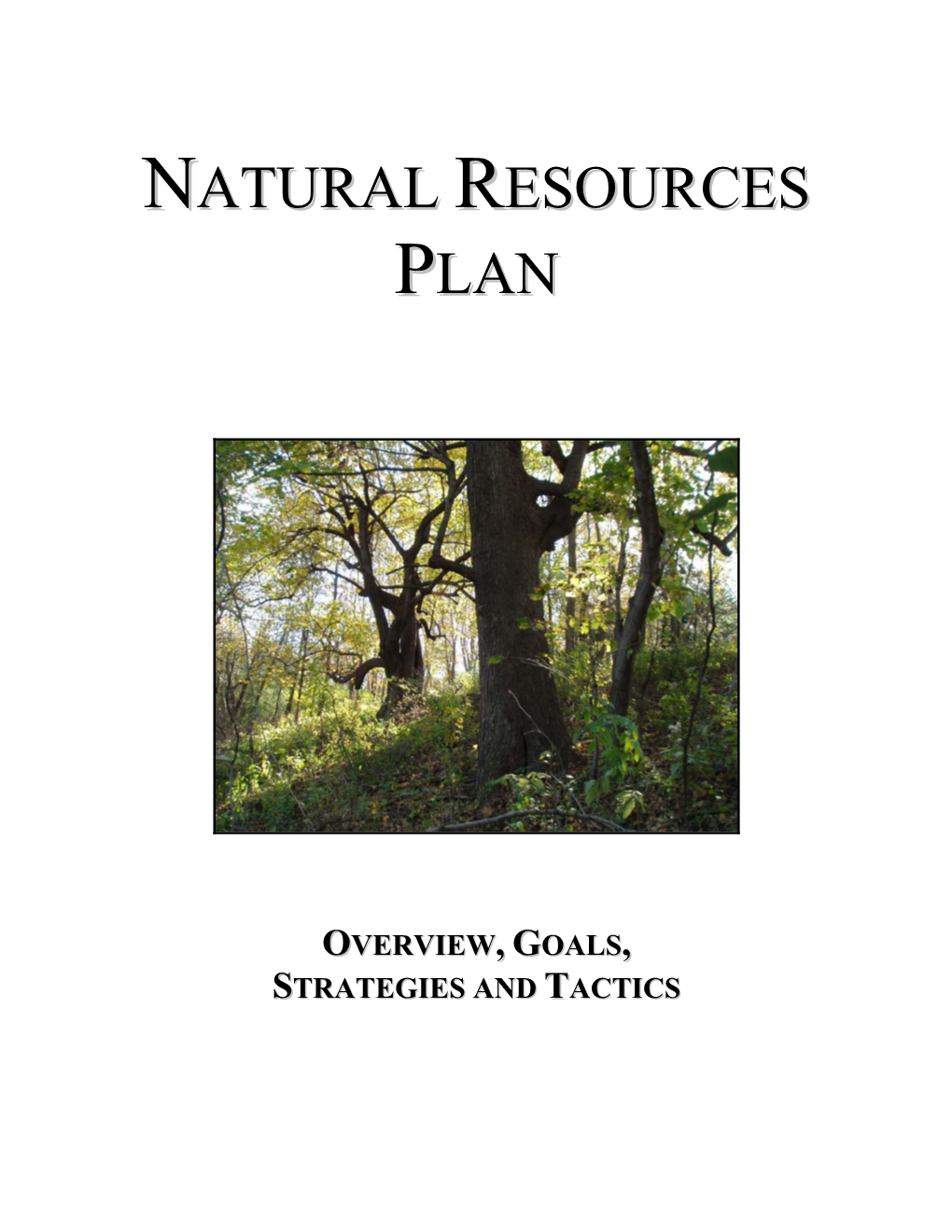 Natural Resources Plan June 2008