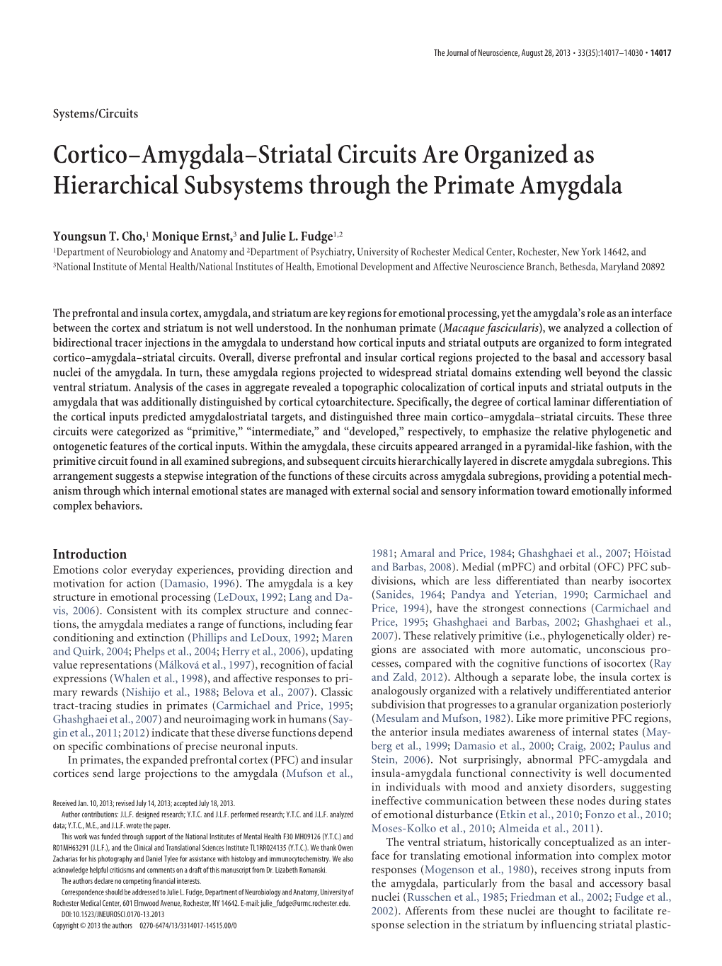 Cortico–Amygdala–Striatal Circuits Are Organized As Hierarchical Subsystems Through the Primate Amygdala
