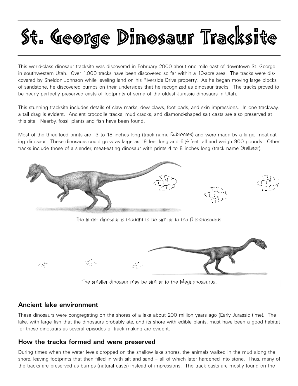 St. George Dinosaur Tracksite