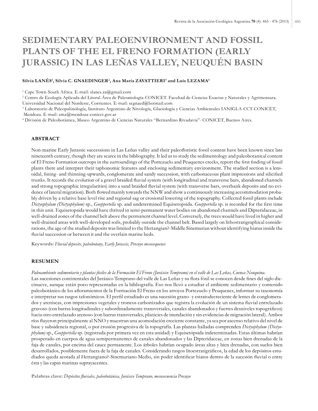 (Early Jurassic) in Las Leñas Valley, Neuquén Basin