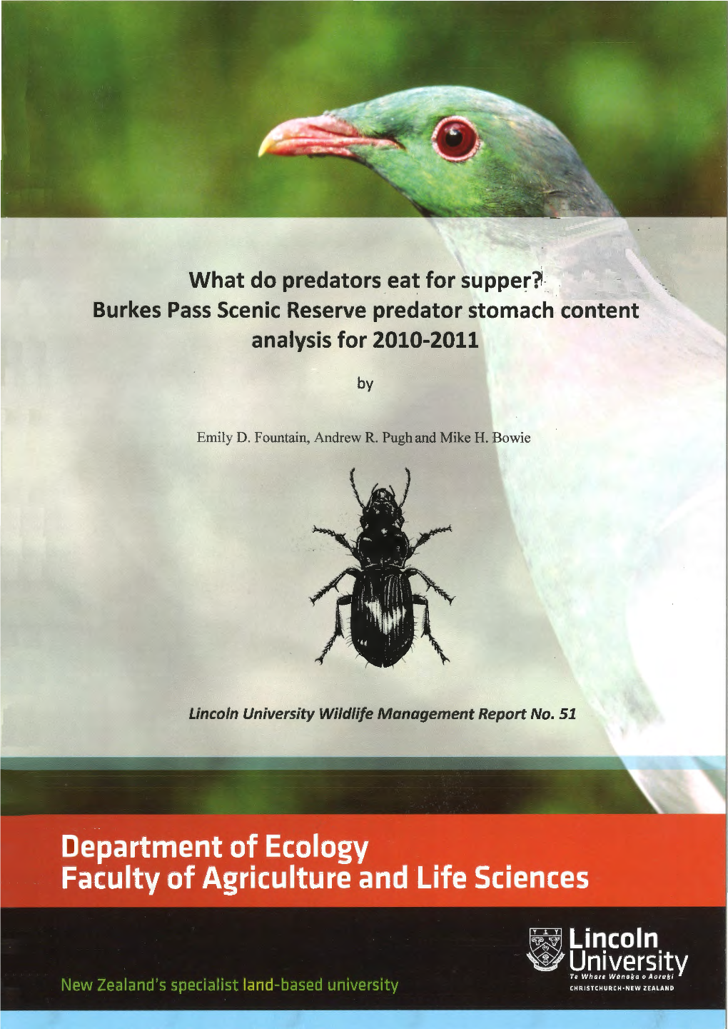 Burkes Pass Scenic Reserve Predator Stomach Content Analysis for 2010-2011