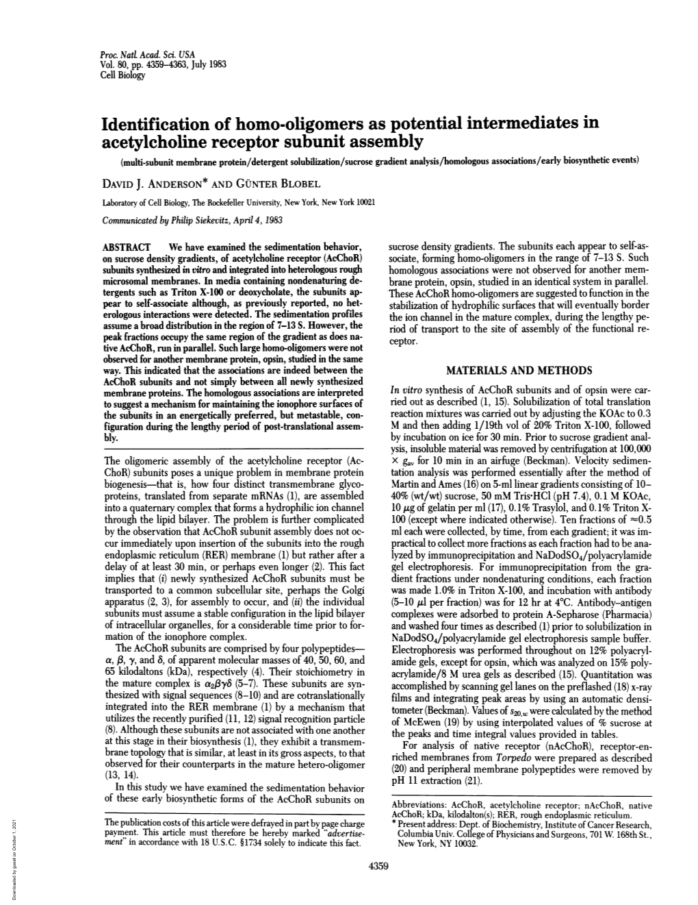 Identification of Homo-Oligomers As Potential Intermediates In