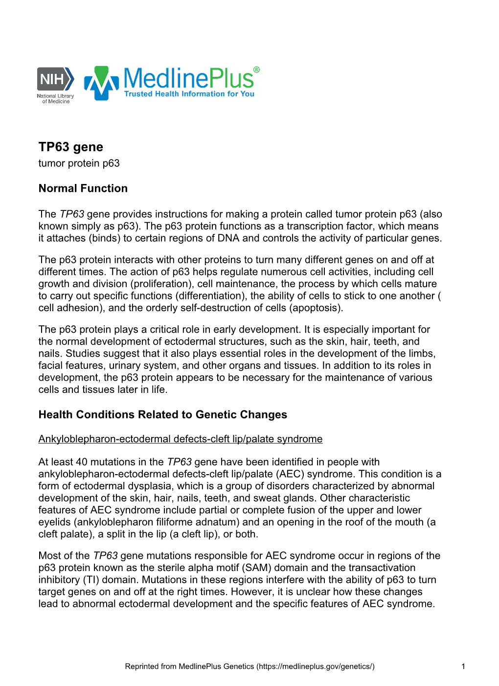 TP63 Gene Tumor Protein P63