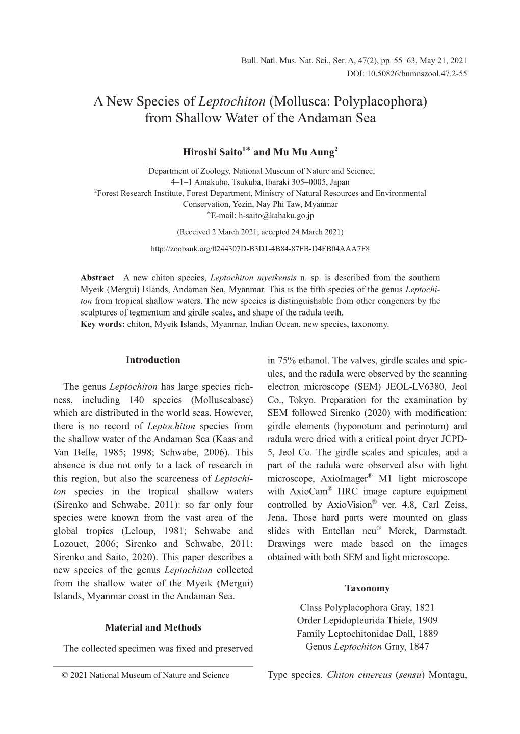 A New Species of Leptochiton (Mollusca: Polyplacophora) from Shallow Water of the Andaman Sea