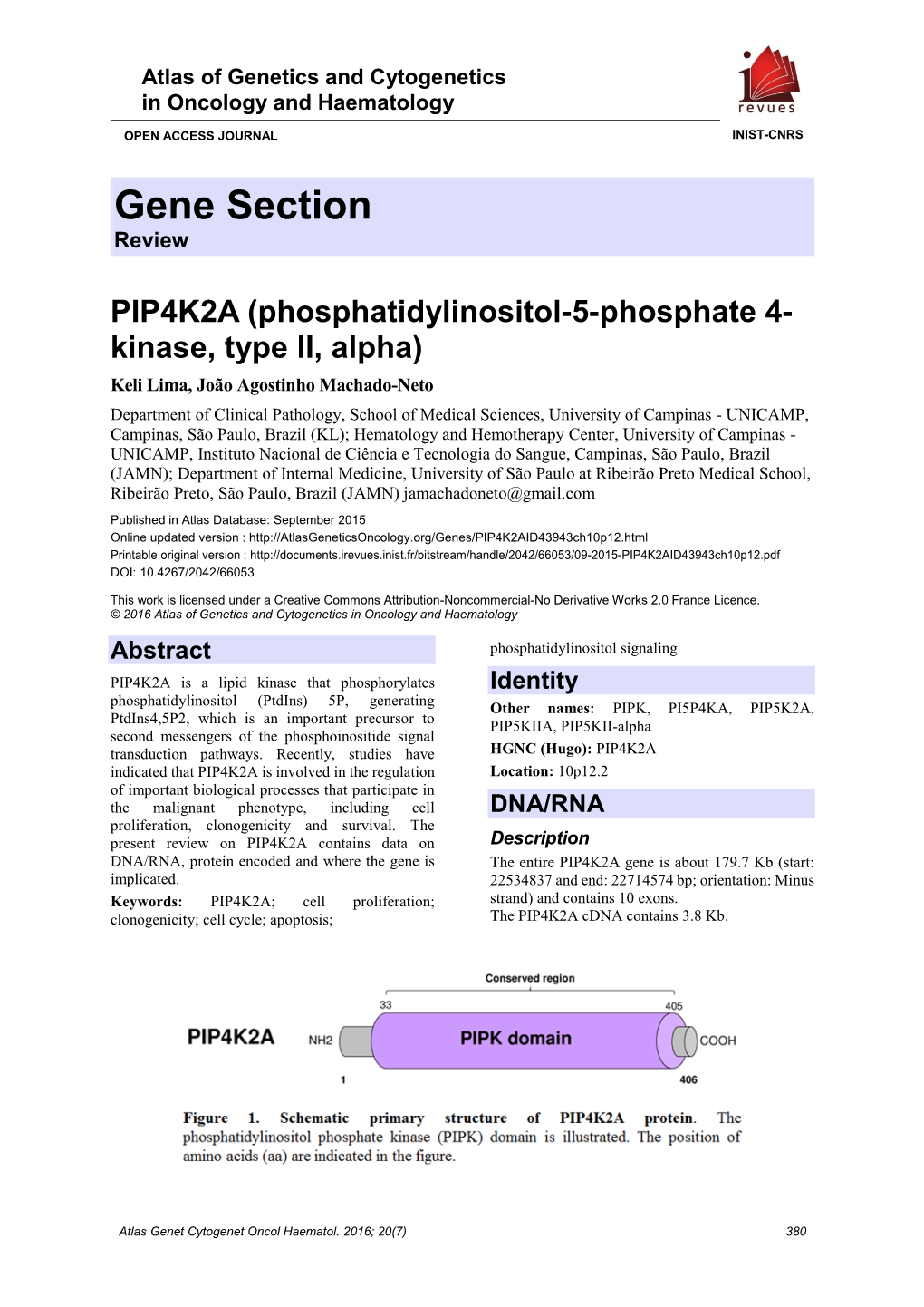 Gene Section Review