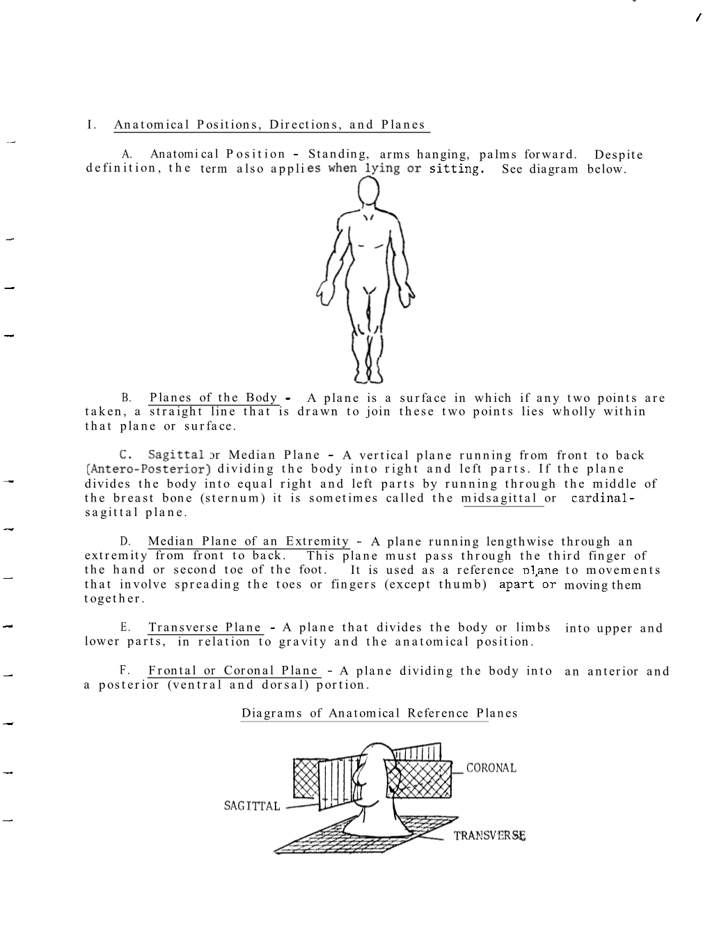 Anatomical Positions, Directions, and Planes Bones of the Upper Extremity