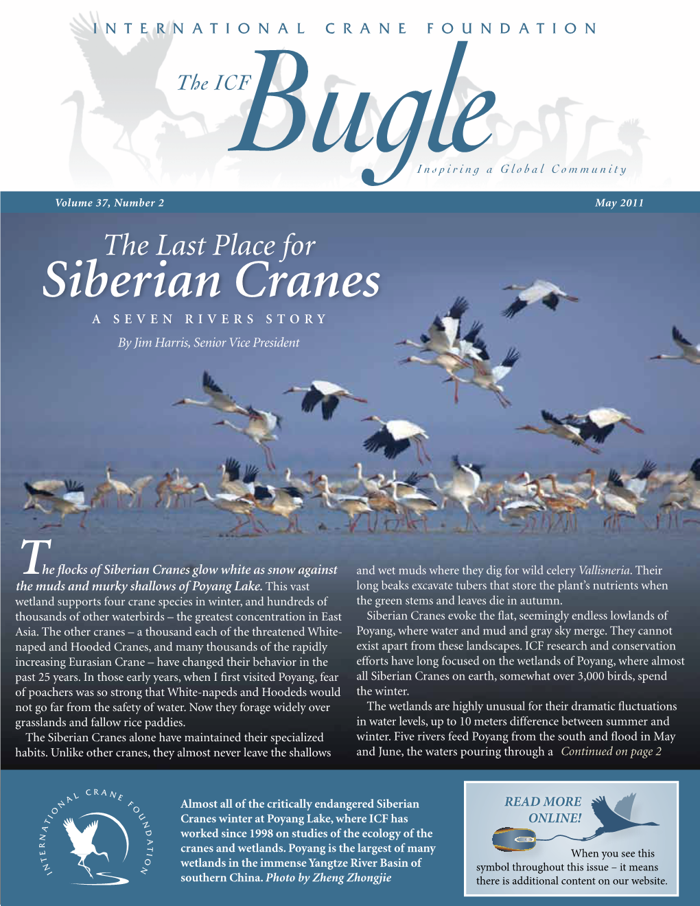 Siberian Cranes a SEVEN RIVERS STORY by Jim Harris, Senior Vice President