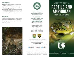 Reptile and Amphibian