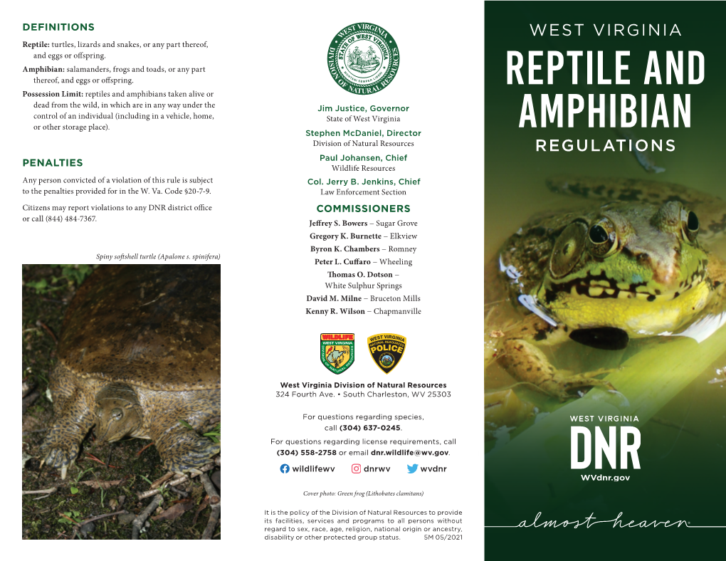 Reptile and Amphibian