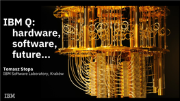 IBM Q: Hardware, Software, Future
