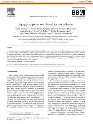 Aquaglyceroporins, One Channel for Two Molecules