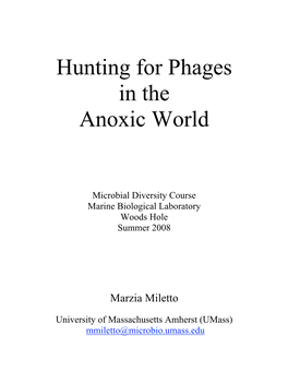 Miletto, M. Hunting for Phages in the Anoxic World