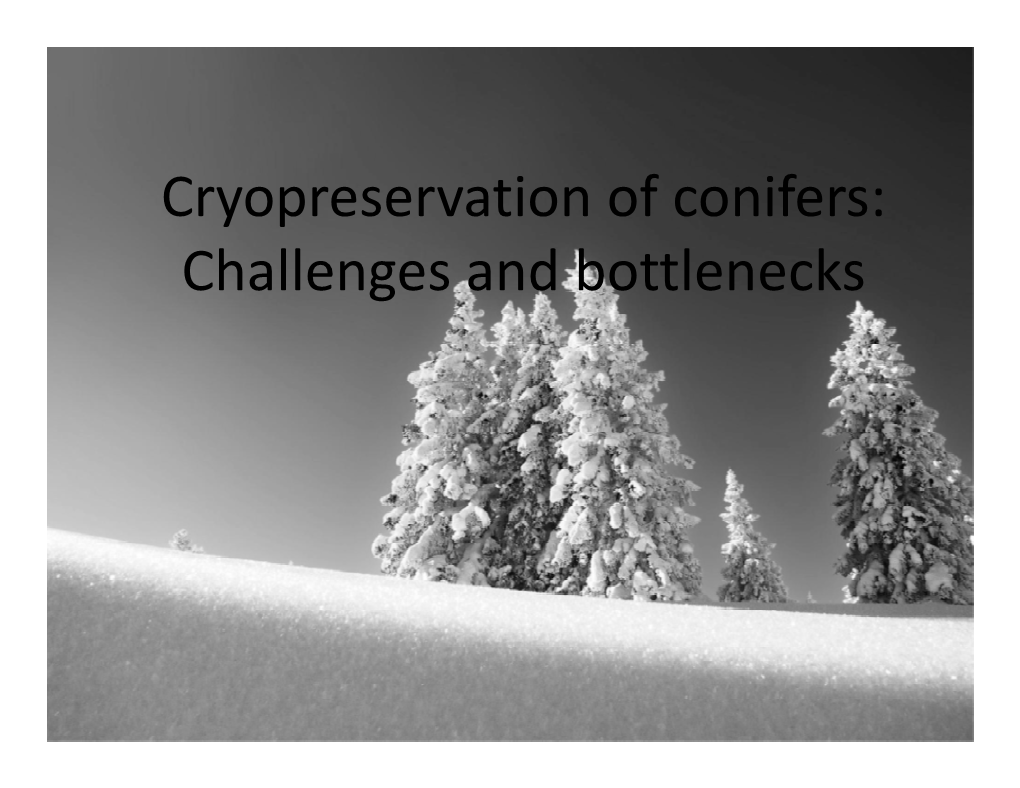 Cryopreservation of Conifers: Challenges and Bottlenecks Outline