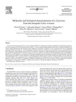 Molecular and Biological Characterization of a Cypovirus from the Mosquito Culex Restuans