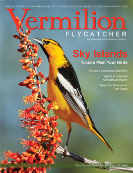 Sky Islands Tucson Meet Your Birds