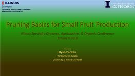 Pruning Basics for Small Fruit Production Illinois Specialty Growers, Agritourism, & Organic Conference January 9, 2019