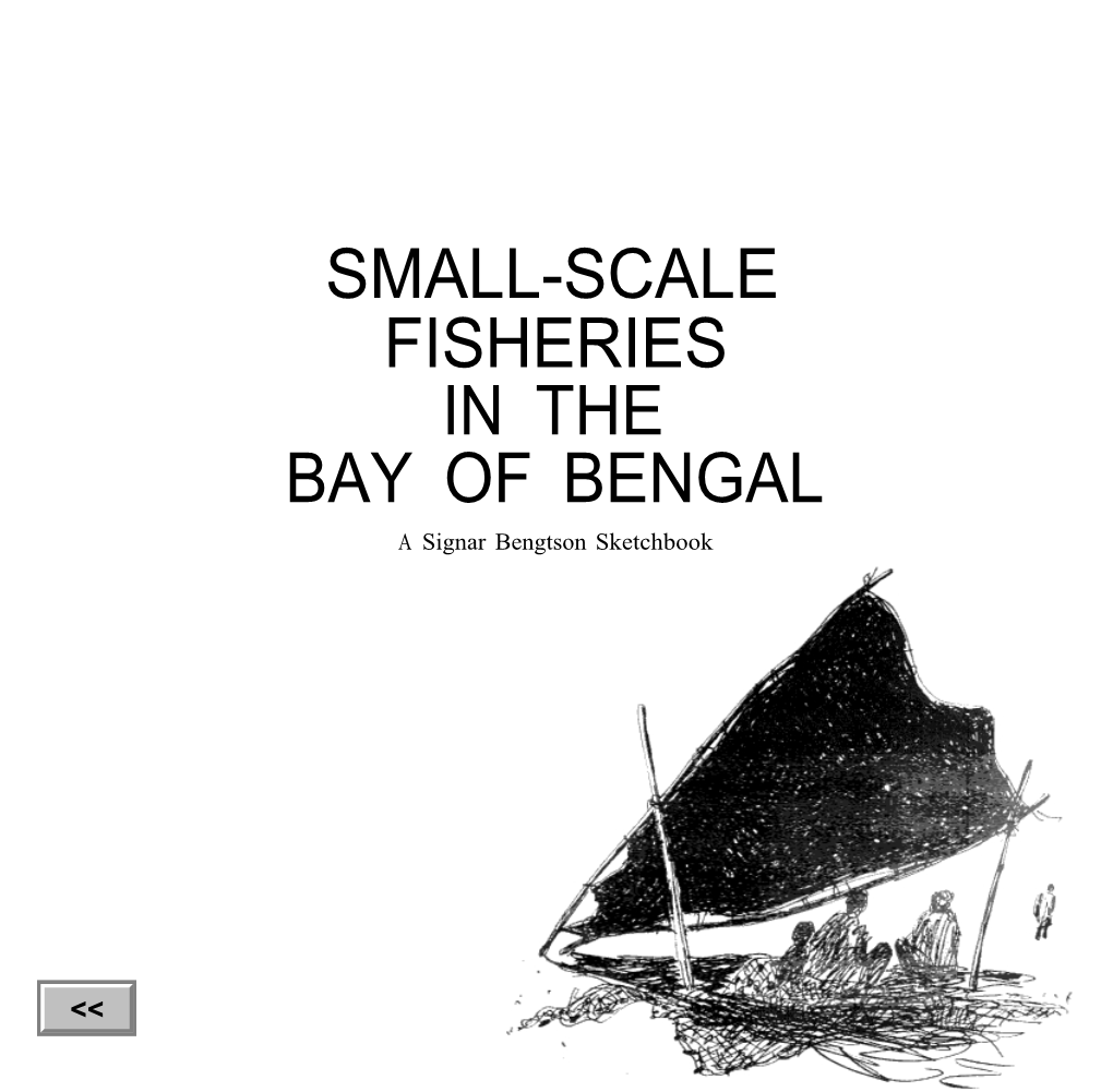 SMALL-SCALE FISHERIES in the BAY of BENGAL a Signar Bengtson Sketchbook Cover:Afisherfolkfamilynearmadrasuseskattumaramsailsasshelterontheshore