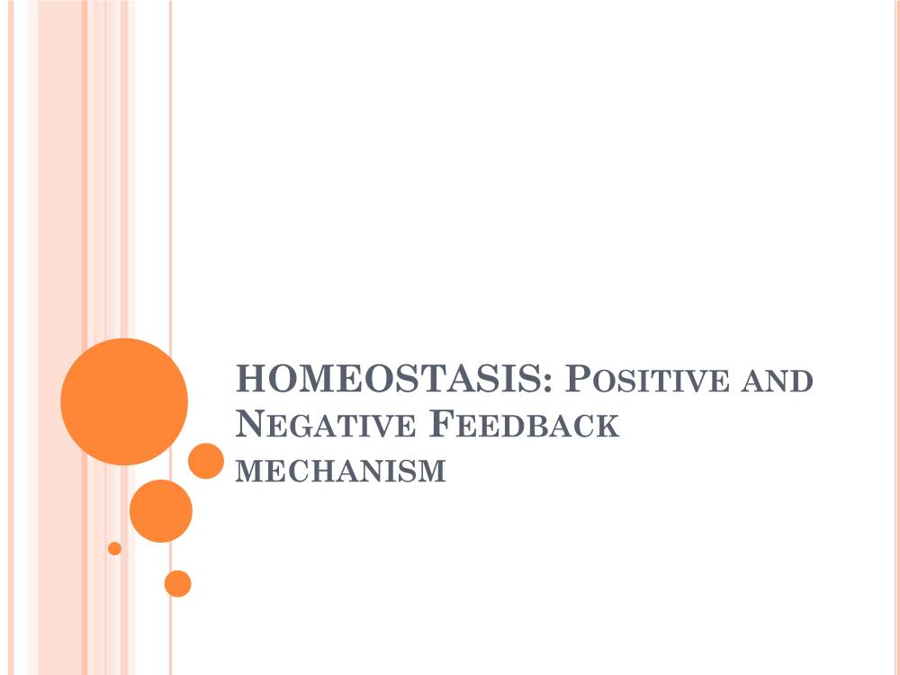 HOMEOSTASIS: POSITIVE and NEGATIVE FEEDBACK MECHANISM Homeostasis Refers to the Maintenance of Relatively Constant Internal Conditions