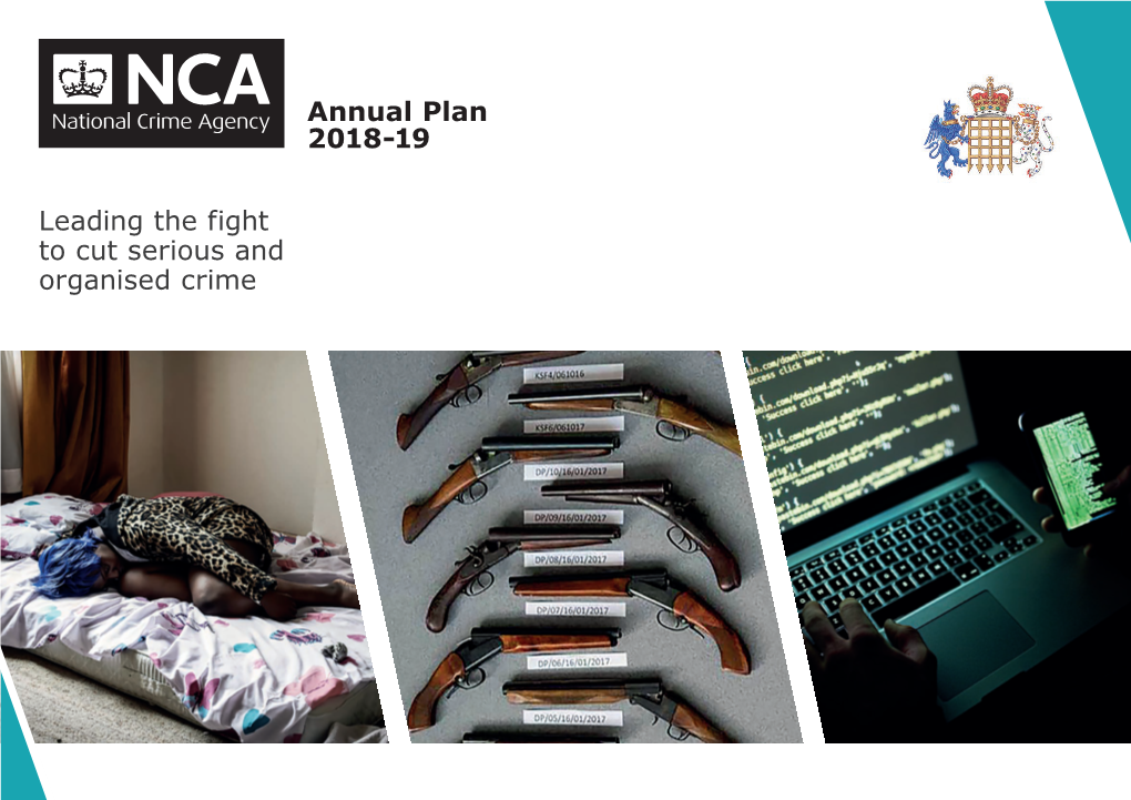 NCA's Annual Plan