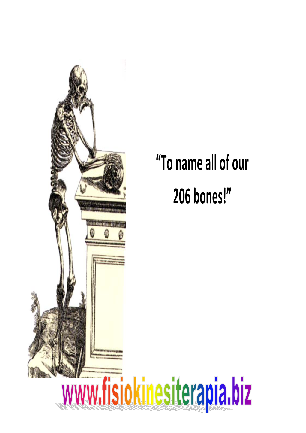 “To Name All of Our 206 Bones!” Appendicular & Axial Skeleton Parietal Bone Axial Frontal Bone Temporal Bone Skull Zygomatic Bone Maxilla Occipital Bone Mandible Fig