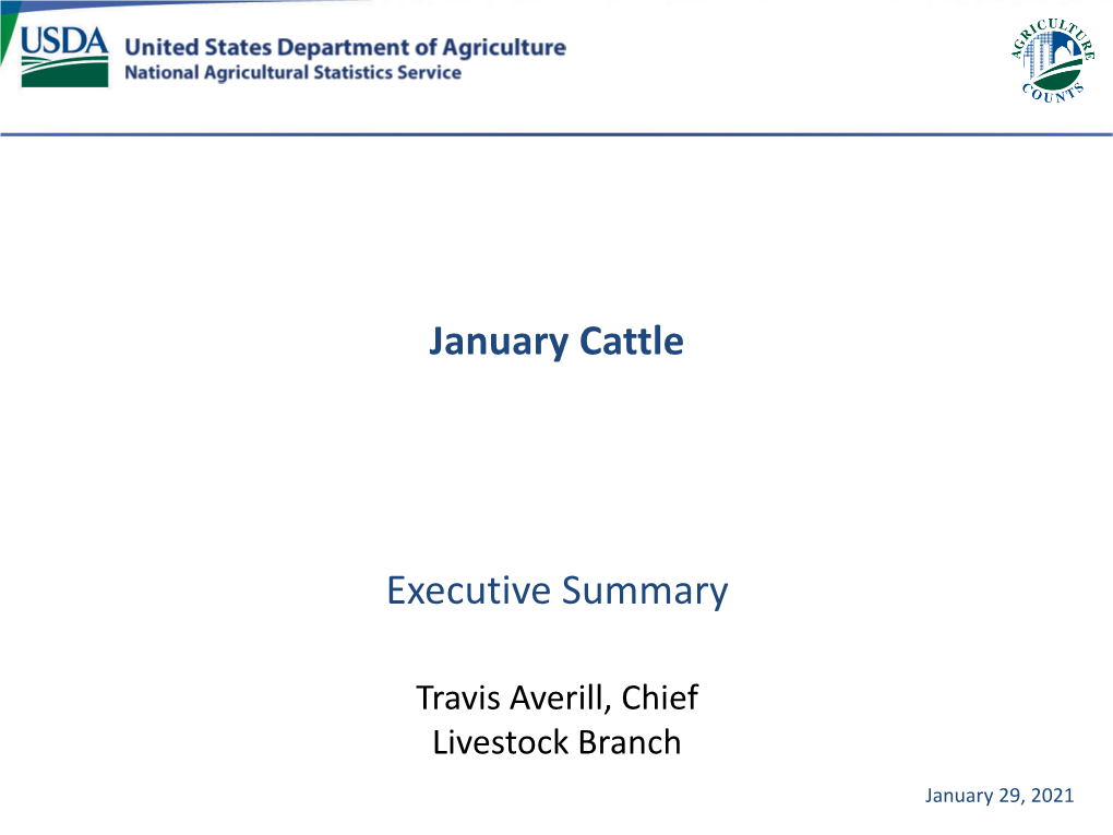 Cattle (January 2021)