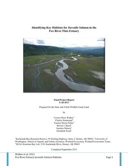 Identifying Key Habitats for Juvenile Salmon in the Fox River Flats Estuary