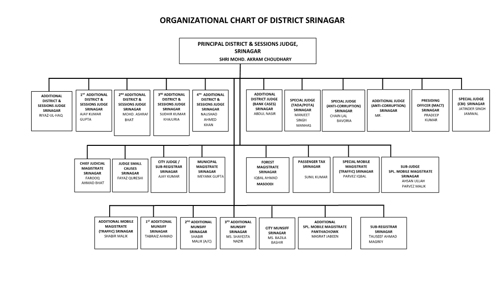 Organizational Chart of District Srinagar