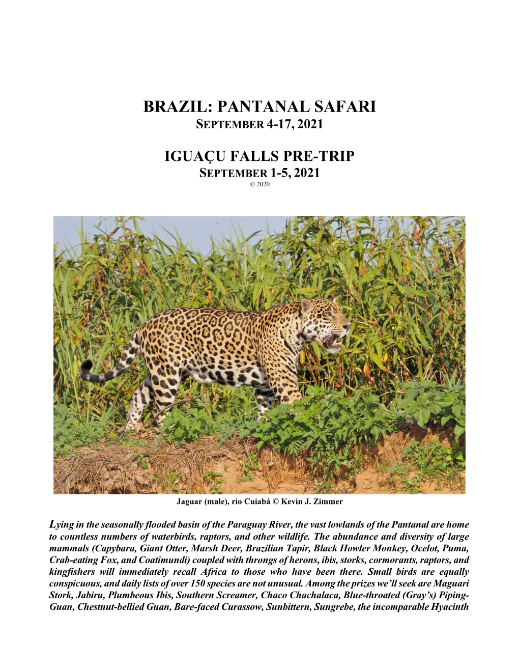 Brazil: Pantanal Safari September 4-17, 2021